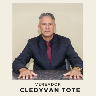 cledyvan tote.jpg